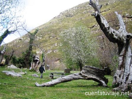 Area de acampada Llano Castrillo. Bárcena Mayor.